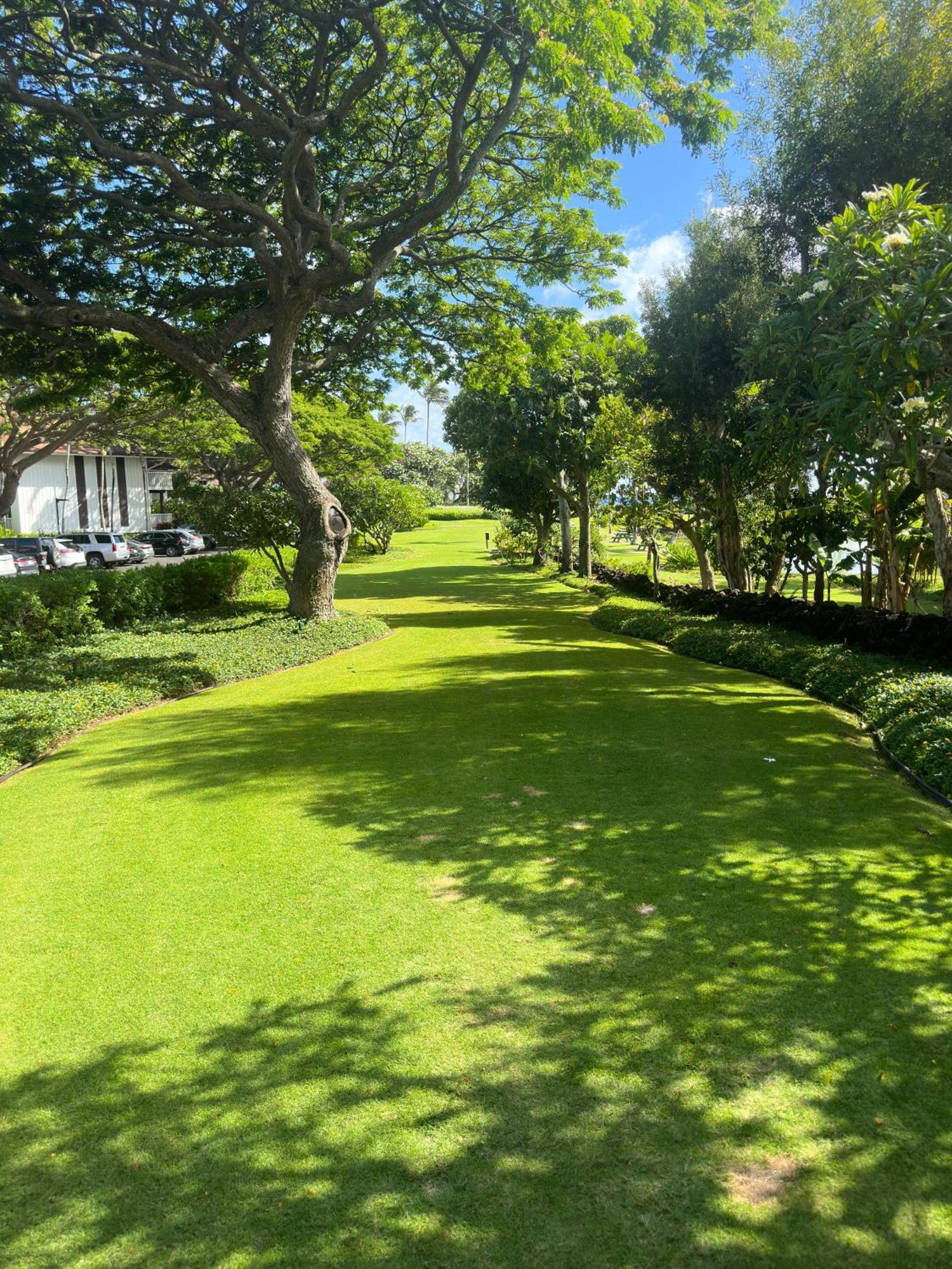 Koloa Kiahuna Paradise At Poipu Beach, Newly Remodeled מראה חיצוני תמונה
